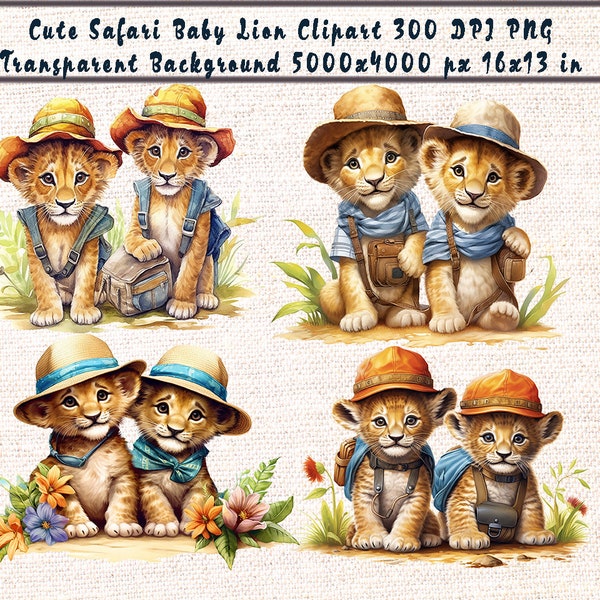 Aquarell Baby Löwe Clipart Safari Baby Löwe Clipart Babyparty Grafik Löwe Jungtier Dschungel Abenteuer Clipart Bundle Babyparty Digital PNG