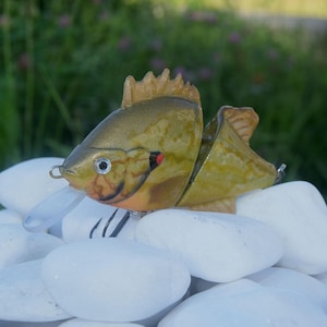 Handmade Sunfish Swimbait in Wooden Gift Box – Pike, Catfish & Bass Fishing Lure – Valdemar-Baits