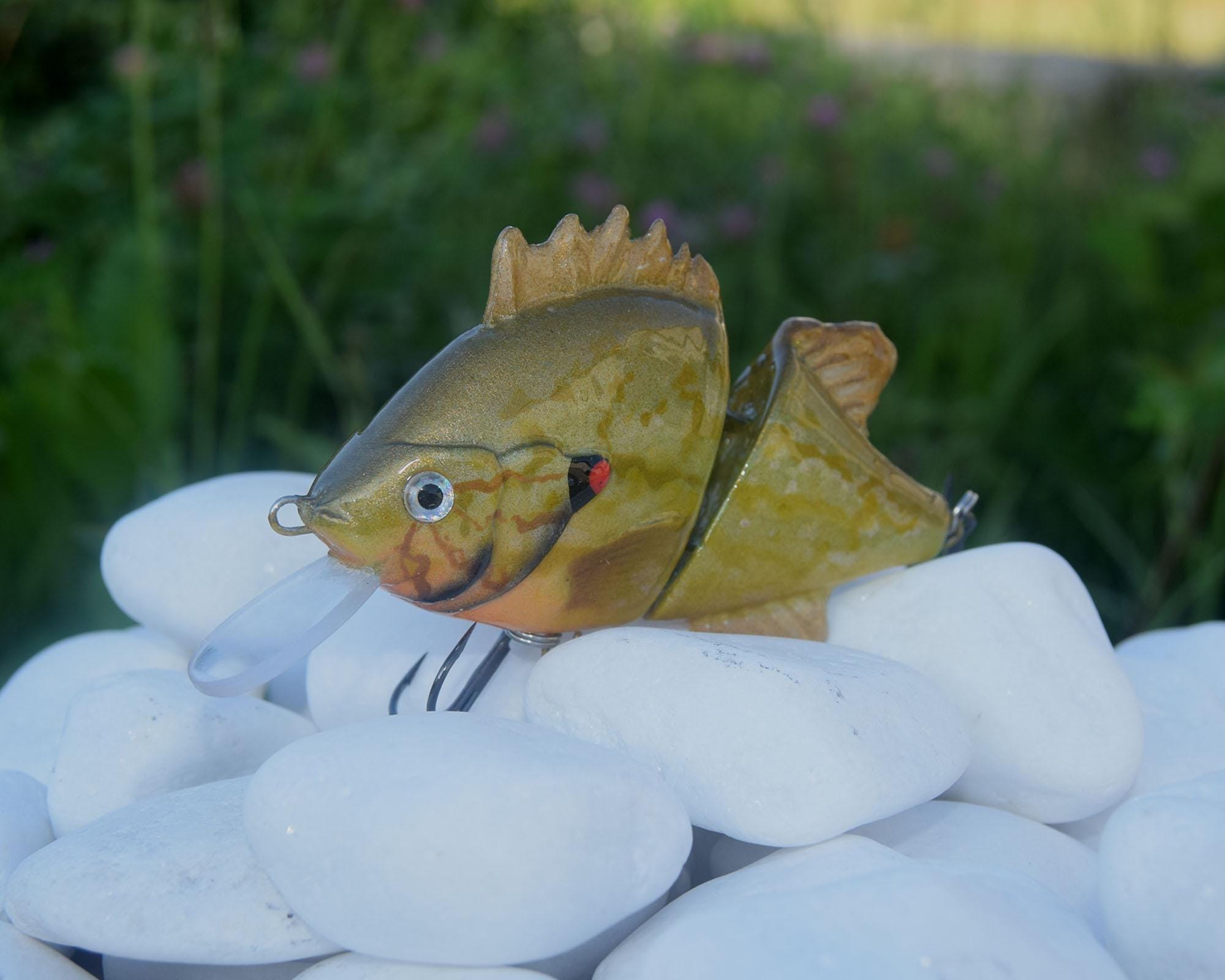 Handmade Sunfish Swimbait in Wooden Gift Box – Pike, Catfish & Bass Fishing Lure – Valdemar-Baits
