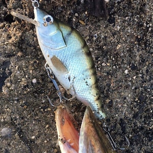 Esca da pesca Crankbait per persico blu fatta a mano: Wobbler ad affondamento lento