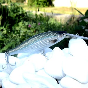 Bleak Fishing Lure for Pike & Zander – 10 cm / 18 g – Deep Diving | Handmade by Valdemar-baits