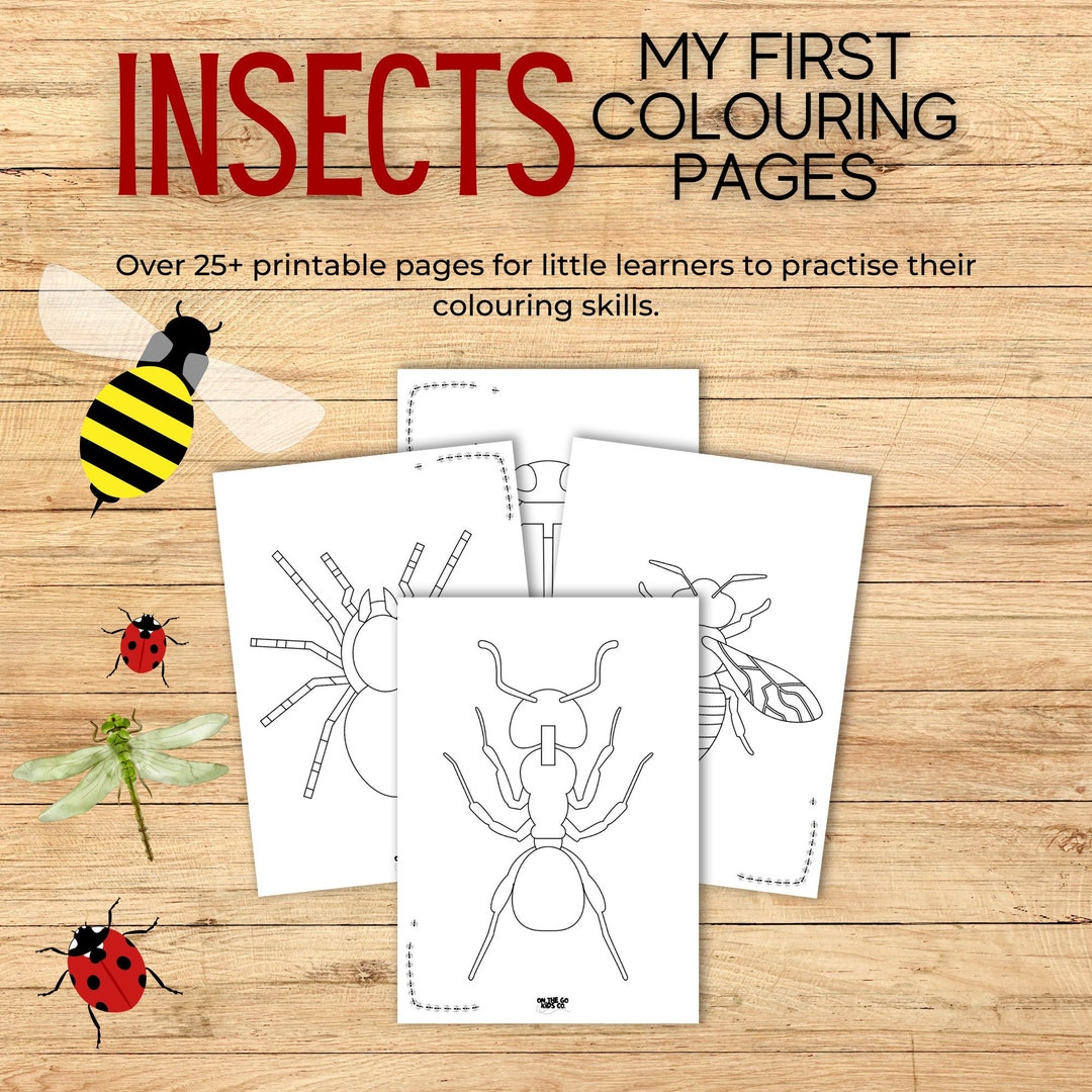 INSECTS | My First Colouring Pages | 25+ Kids Printable Colouring Pages ...