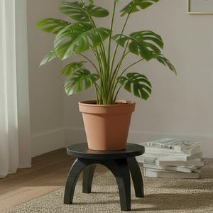 May include: A Monstera plant in a terracotta pot, featuring large, green, split leaves, is placed on a small, black, wooden stool. The stool is positioned in a bright room with a neutral colour scheme. The pot's diameter is approximately 25 cm.
