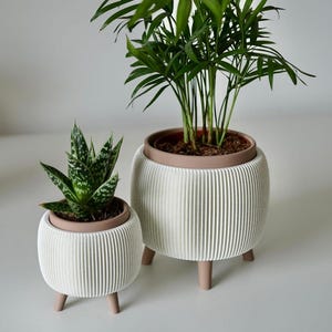 May include: Two white, ribbed planters with tan-colored legs and rims, each holding a different houseplant. The larger planter contains a tall, green plant with thin leaves, while the smaller one holds a succulent with green and white patterned leaves.