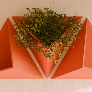 Triangular Planter Layout Modern Triangular Wall Planter Hanging Planter Herbs and Air Plants - Etsy