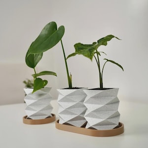 Peut inclure: Trois pots géométriques blancs avec des plantes vertes, posés sur un plateau marron. Les pots ont un design angulaire texturé. Les plantes ont de grandes feuilles en forme de cœur et de plus petites feuilles panachées.