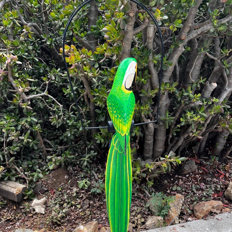 Hand Painted Parrot - Etsy - Painted Parrot Cage Wall