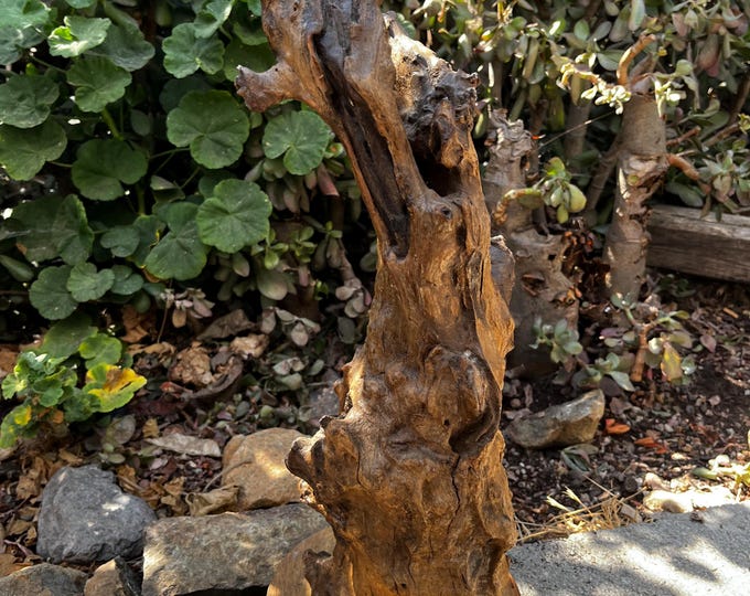 Hand Carved Wooden Modern Abstract Tree Stump Art Sculpture From Bali ...