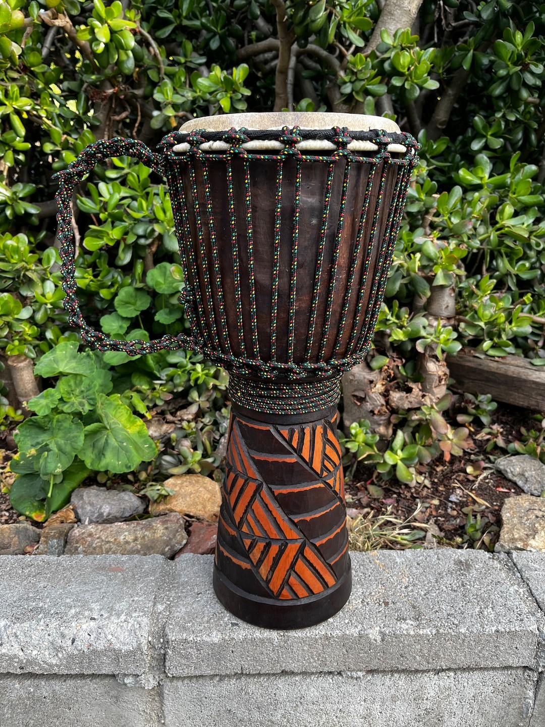 Hand Carved Made Wooden Alpin Rope Goat Skin Djembe Hand Drum ...