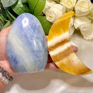 May include: A blue and white oval-shaped stone beside a yellow and brown crescent-shaped stone. The stones are held in a hand, with white roses and green leaves in the background. The blue stone has a marbled appearance.