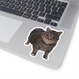 Può includere: Un adesivo raffigurante un gatto tigrato con strisce marroni e grigie, zampe bianche e un contorno bianco. L'adesivo è posto su un laptop, con la tastiera visibile sullo sfondo.