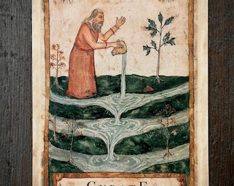 May include: A rectangular card featuring an illustration of a bearded figure in a red robe pouring water from a pitcher into a tiered landscape. The sun and a star appear in the sky. The text reads: CURATE. Master the flow of recognition, and you control perception.