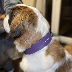 Dog collar