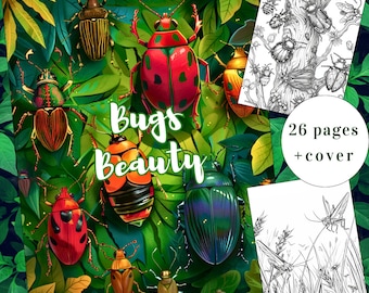 26 insectes à colorier, coloriage beauté, insectes, livre de coloriage, adultes + enfants, téléchargement immédiat, coloriage de scarabée, PDF imprimable
