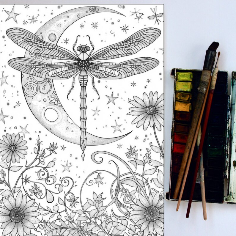 May include: A black and white illustration of a dragonfly with intricate details, perched on a crescent moon. The background features a whimsical design of flowers, stars, and swirls.