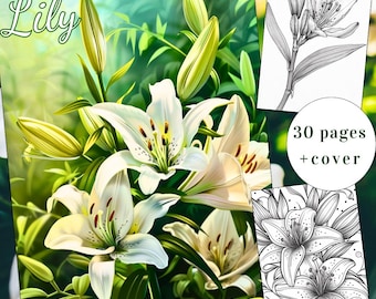 Libro para colorear de lirios, páginas para colorear de flores, para adultos y niños (PDF imprimible)