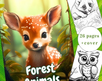 Livro de colorir com animais fofos da floresta, 26 páginas (PDF para imprimir)