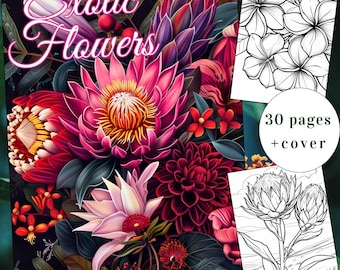 30 desenhos de flores exóticas para colorir, para adultos e crianças (PDF para imprimir)