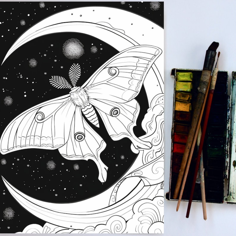 May include: A black and white illustration of a moth with intricate wings perched on a crescent moon against a starry night sky.