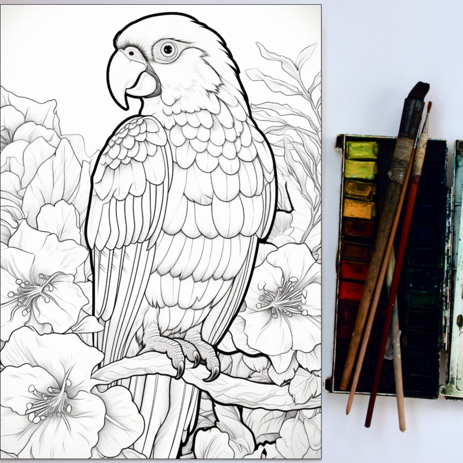 30 Birds and Flowers Coloring Page, Flower Coloring, Birds Coloring ...