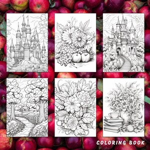 May include: A coloring book with six black and white illustrations. The illustrations include a castle, flowers, a forest scene, and a still life with a vase of flowers, a cup, and books. The book cover has the text "COLORING BOOK" in bold letters.