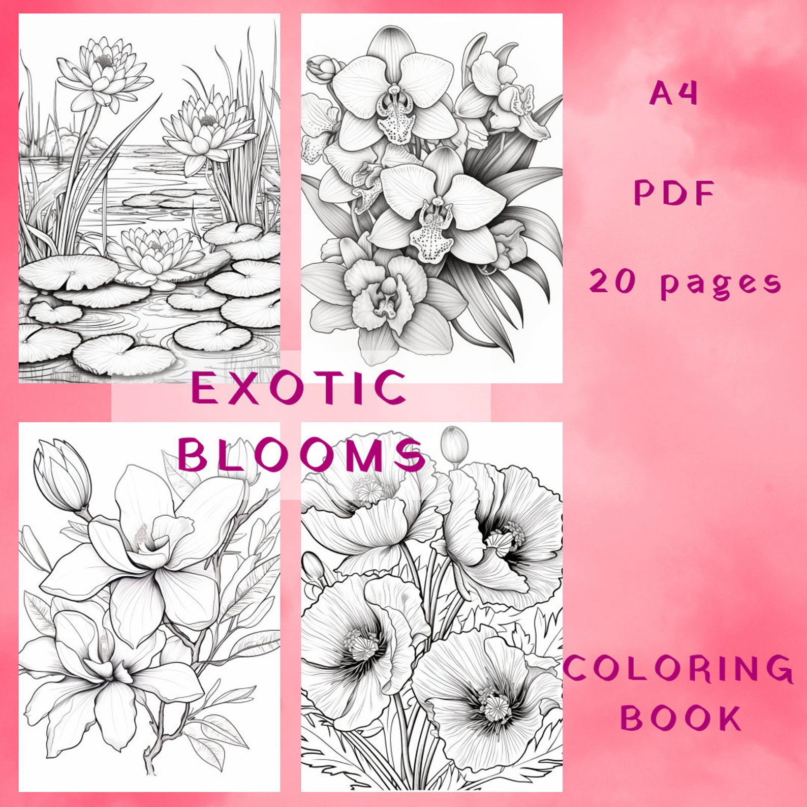 Exotic Blooms Coloring Book, Floral Illustrations (digital Download) - Etsy