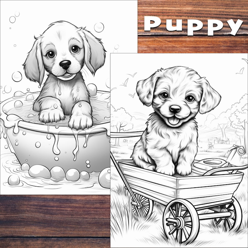 Puede incluir: Dos ilustraciones en blanco y negro de cachorros. La primera imagen muestra un cachorro sentado en un cuenco de agua con burbujas. La segunda imagen muestra un cachorro sentado en un carro.