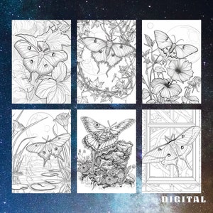 May include: Six black and white illustrations of moths with intricate details. Each moth is depicted in a different setting, including flowers, vines, a window, and a moonlit pond.