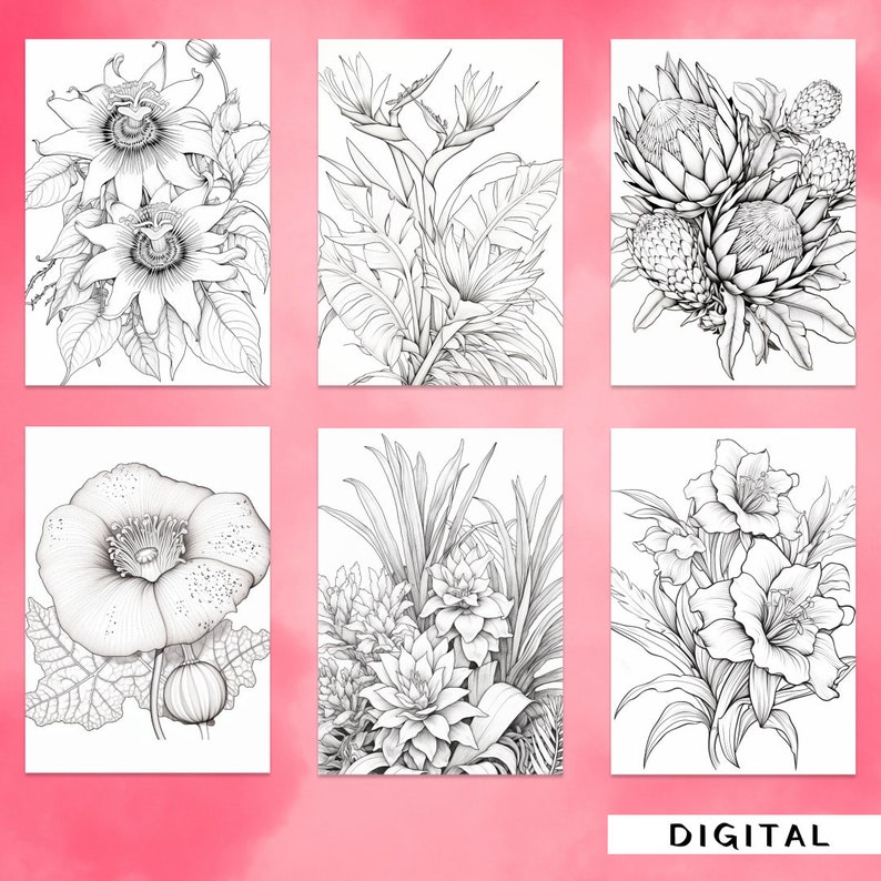 Exotic Blooms Coloring Book, Floral Illustrations (digital Download) - Etsy
