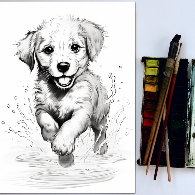Puede incluir: Un dibujo a l&aacute;piz en blanco y negro de un cachorro golden retriever corriendo por el agua, con gotas de agua salpicando a su alrededor.