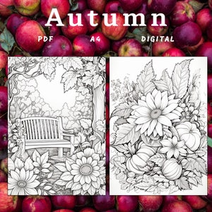 May include: Two black and white coloring pages with an autumn theme. The first page features a bench in a garden setting with flowers and trees. The second page features a bouquet of flowers, pumpkins, and leaves. The text "Autumn" is at the top of the image, with "PDF", "A4", and "DIGITAL" below.