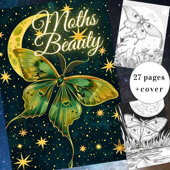 27 Moths Beauty Coloring Page, Moths Coloring Book, Insect Coloring Book, Nocturnal Coloring, Adults + kids Instant Download, Printable PDF