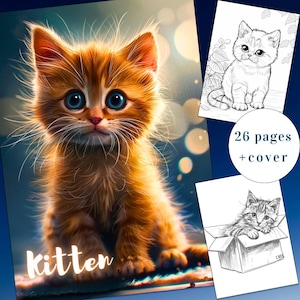 26 Kitten Coloring Page, Cats Coloring Book, Cute Kitten Coloring Book, Adults + kids Instant Download, Cute Cat Coloring, Printable PDF