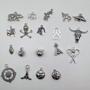 May include: A collection of 18 silver charm pendants featuring various designs, including animals, sports, and symbols. The charms are perfect for adding a personal touch to jewelry or crafts.