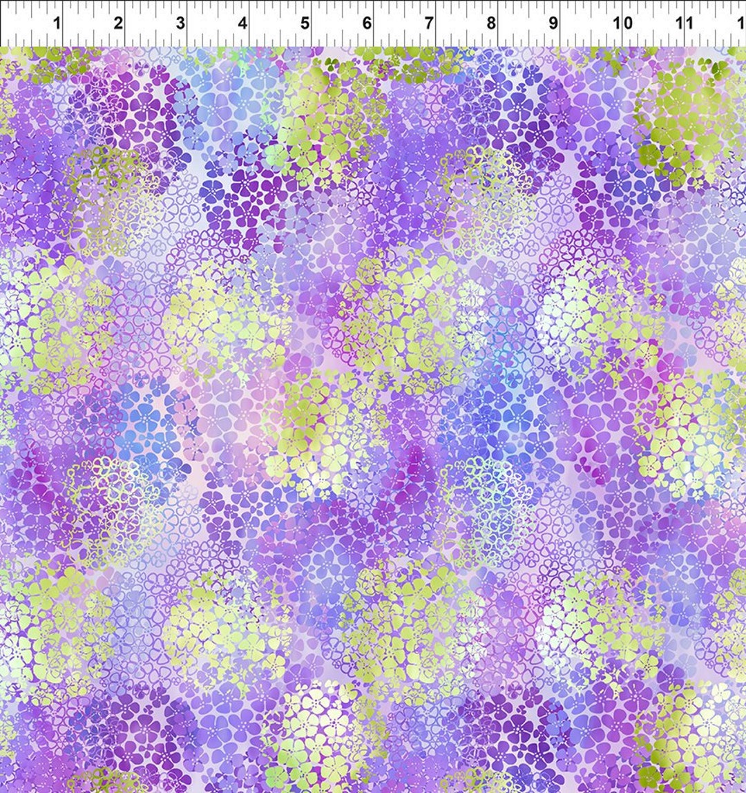 Hydrangea, My Beautiful Series - Colour Paradise Greenhouses