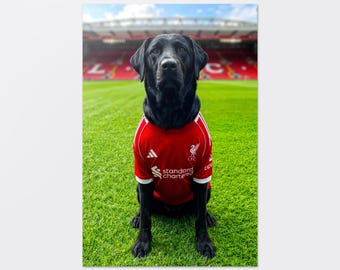 Football Pet Portrait, Custom Pet Portrait in Football Team Shirt, Footballer Pet Print, Dog in Football Shirt, Pet Portrait, Fun Gift Idea