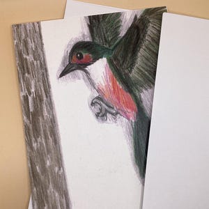 Lewis’ Woodpecker Blank Card