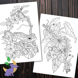 K&ouml;nnte beinhalten: Zwei Schwarz-Wei&szlig;-Illustrationen von Fr&ouml;schen und Bl&auml;ttern. Eine zeigt einen Frosch auf einem gro&szlig;en Blatt mit Blumen, die andere zeigt mehrere Fr&ouml;sche zwischen Bl&auml;ttern und Blumen. Die Zeichnungen sind auf wei&szlig;em Papier.