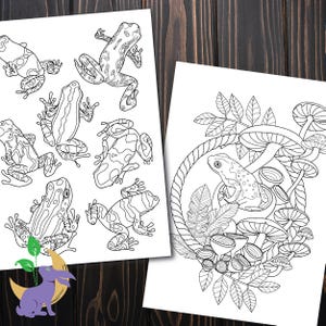 K&ouml;nnte beinhalten: Zwei Schwarz-Wei&szlig;-Malvorlagen mit Froschillustrationen. Eine Seite zeigt mehrere Fr&ouml;sche in verschiedenen Posen. Die andere Seite zeigt einen Frosch, der von Pilzen und Bl&auml;ttern in einem kreisf&ouml;rmigen Rahmen umgeben ist.