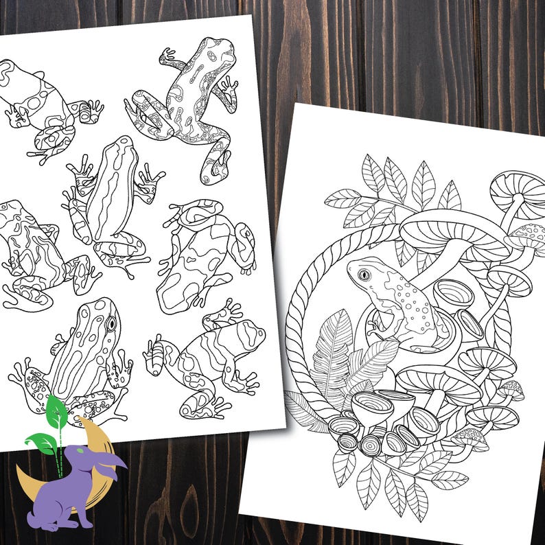 K&ouml;nnte beinhalten: Zwei Schwarz-Wei&szlig;-Malvorlagen mit Froschillustrationen. Eine Seite zeigt mehrere Fr&ouml;sche in verschiedenen Posen. Die andere Seite zeigt einen Frosch, der von Pilzen und Bl&auml;ttern in einem kreisf&ouml;rmigen Rahmen umgeben ist.