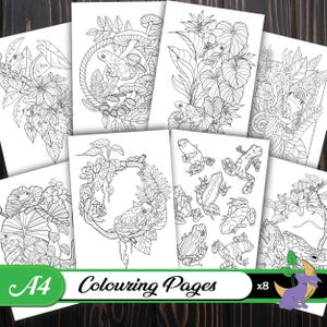 K&ouml;nnte beinhalten: Eine Sammlung von acht A4-Ausmalbildern mit detaillierten Strichzeichnungen von Fr&ouml;schen und tropischem Laub. Die Schwarz-Wei&szlig;-Seiten sind zum Ausmalen bereit, mit dem Text "Colouring Pages" und "x8" versehen.