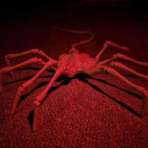 Puede incluir: Una escultura rojiza con forma de insecto con múltiples patas segmentadas y una cola larga y delgada. La criatura está colocada sobre una alfombra roja, con sombras que añaden profundidad. La iluminación es tenue, creando un efecto dramático.