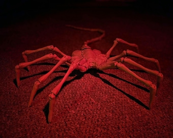 Alien Earth Facehugger full size poseable great for decoration or gifts