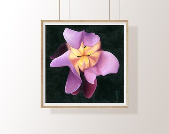 Iris - Stampa artistica floreale