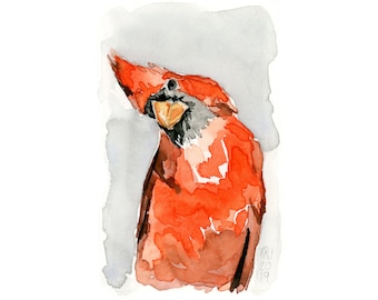 Male Cardinal Art Print