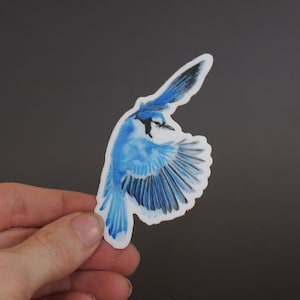 Vinylsticker Blue Jay