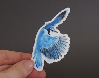 Blue Jay Vinyl Sticker