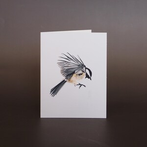 Carte Mésange