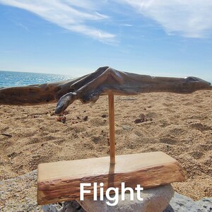 Flight Driftwood Escultura Arte original hecho a mano