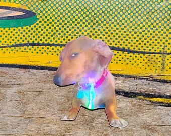 Holographic Sticker ~ Suss Dog Sticker UV/WEATHERPROOF & WATERPROOF outdoor/indoor*Hand Cut*